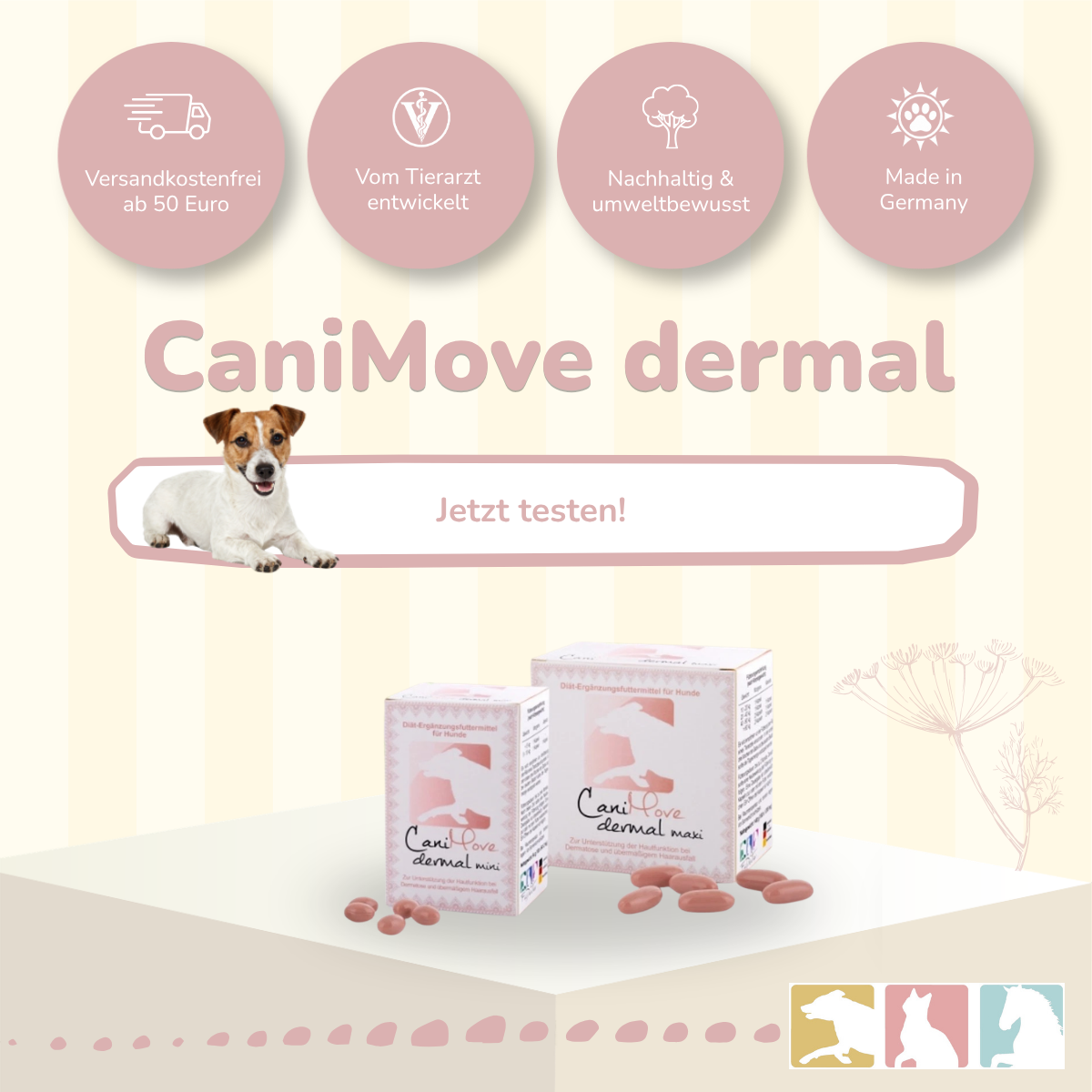 CaniMove dermal
