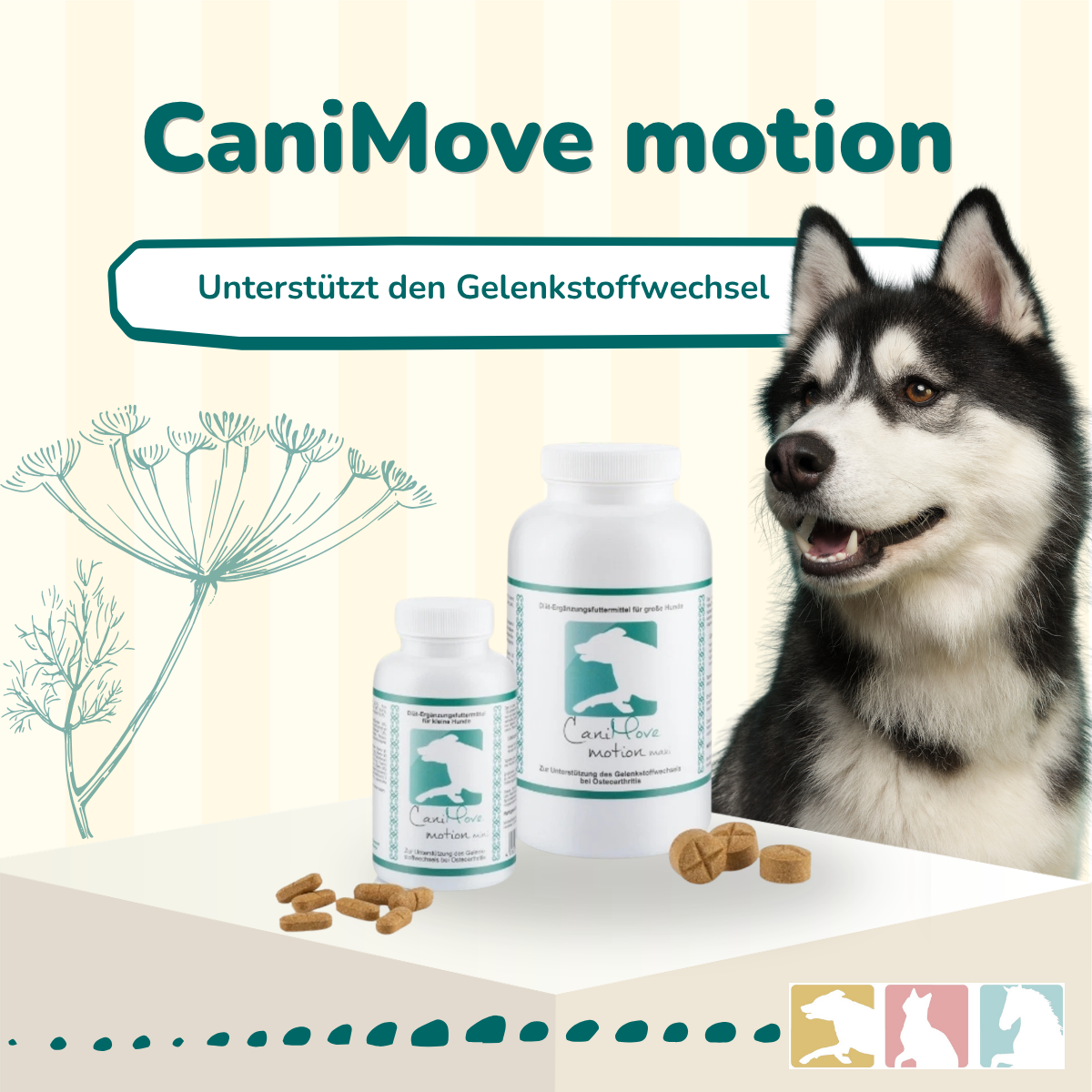 CaniMove motion