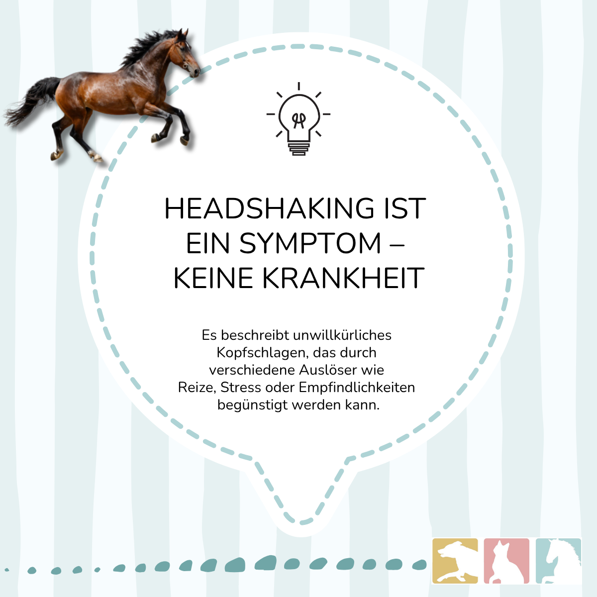 EquiMove head shake