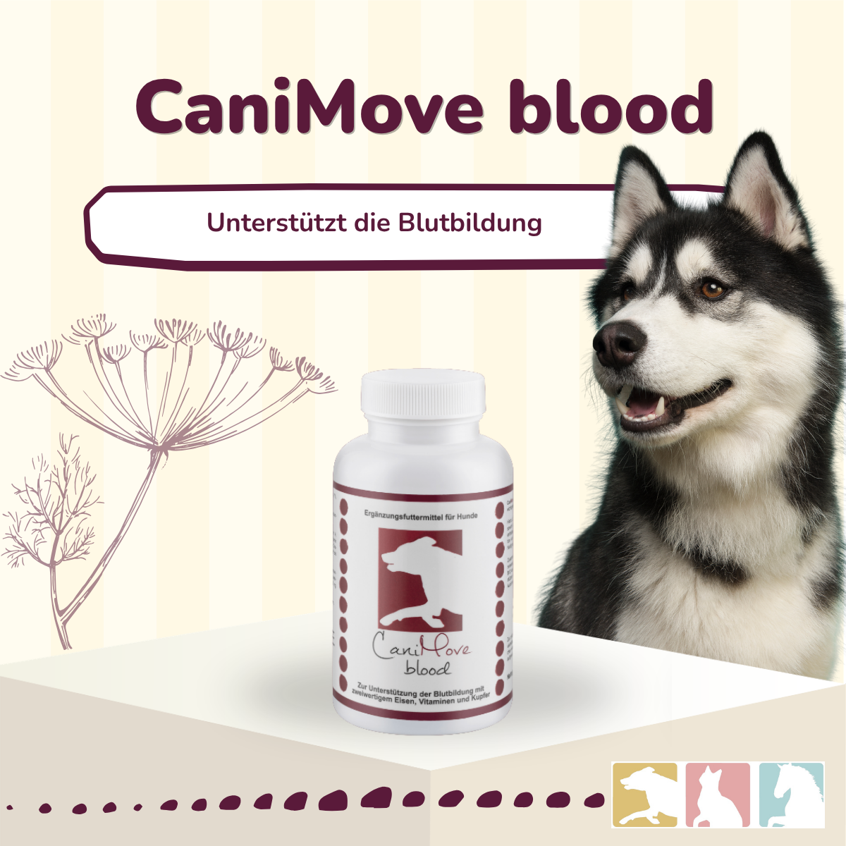 CaniMove blood