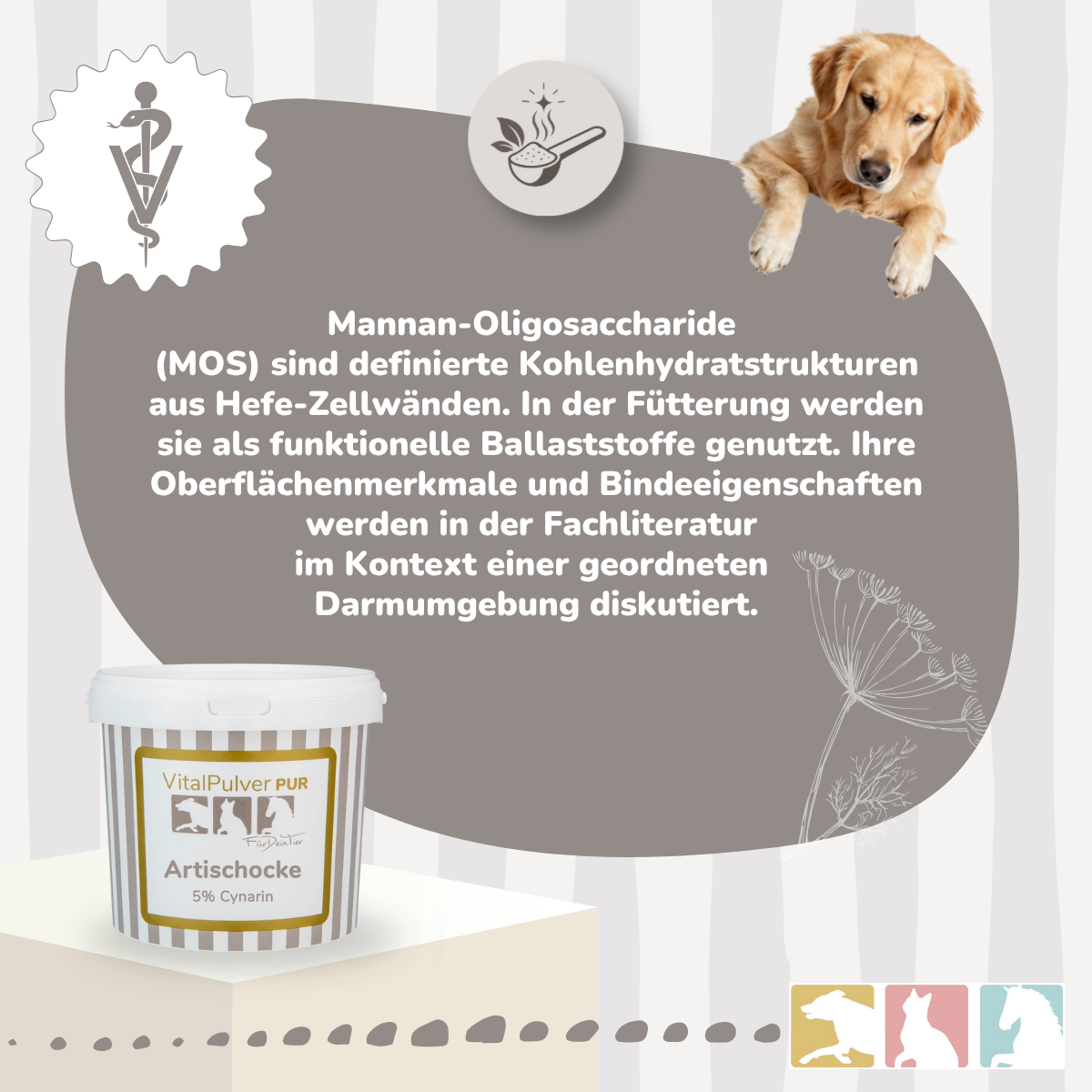 BIO-MOS®