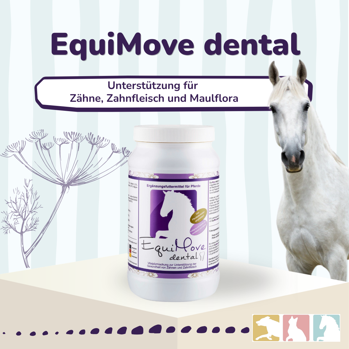 EquiMove dental