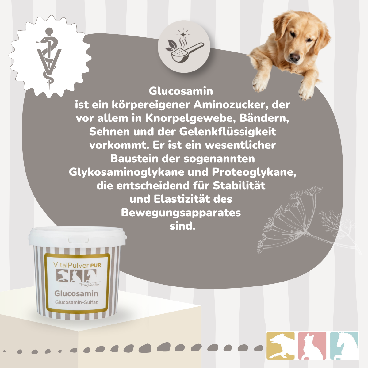 Glucosamin