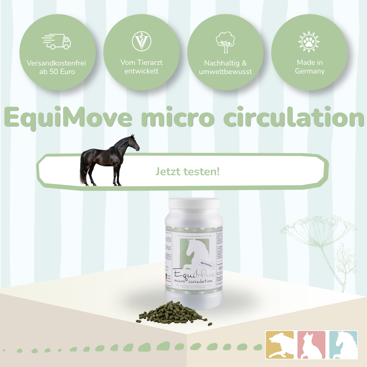 EquiMove micro circulation