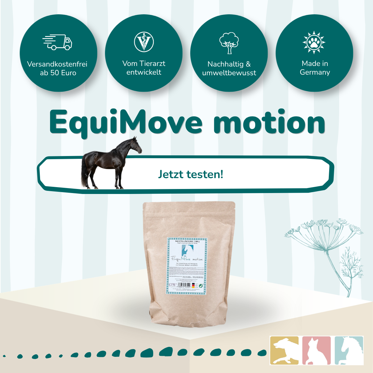 EquiMove motion
