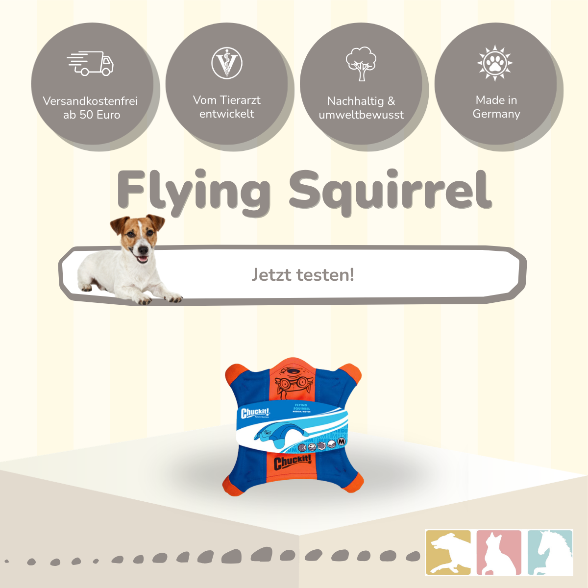 Chuckit! Flying Squirrel (Frisbee)