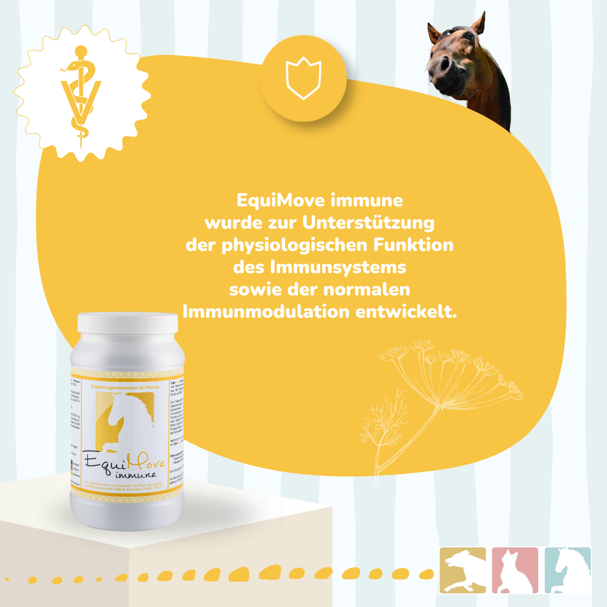 EquiMove immune