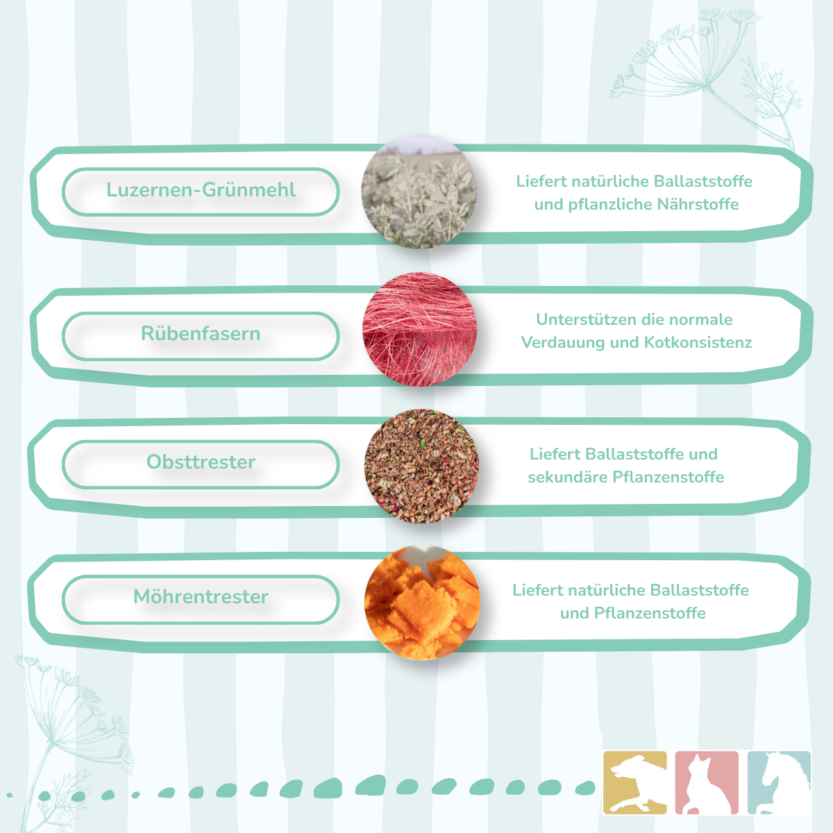 EquiMove delicious