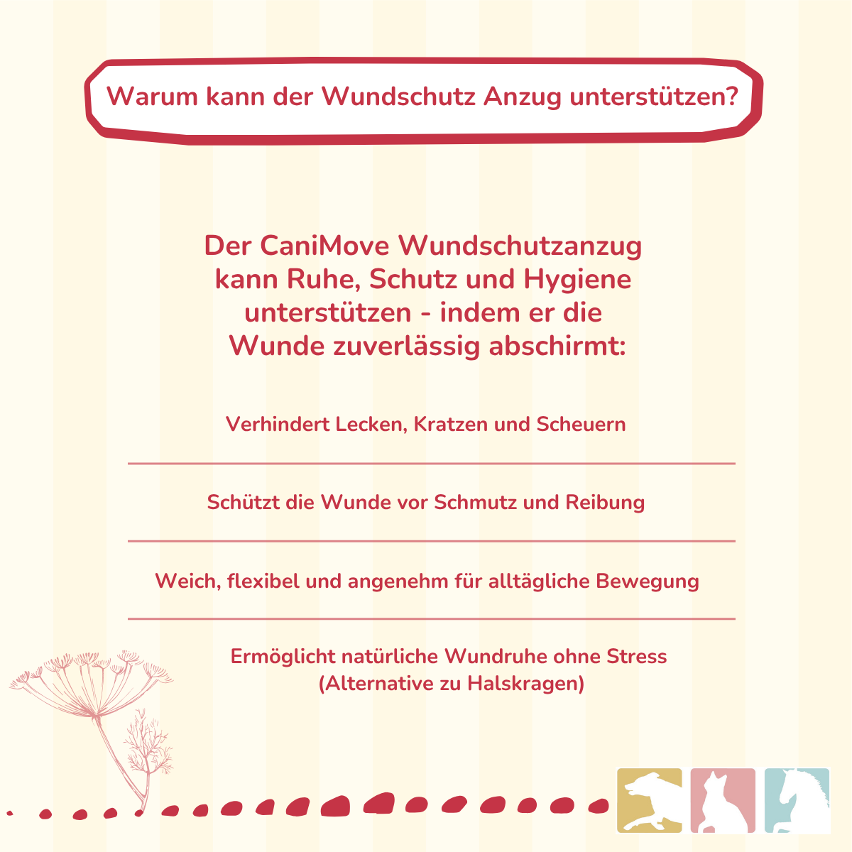 Wundschutz Anzug