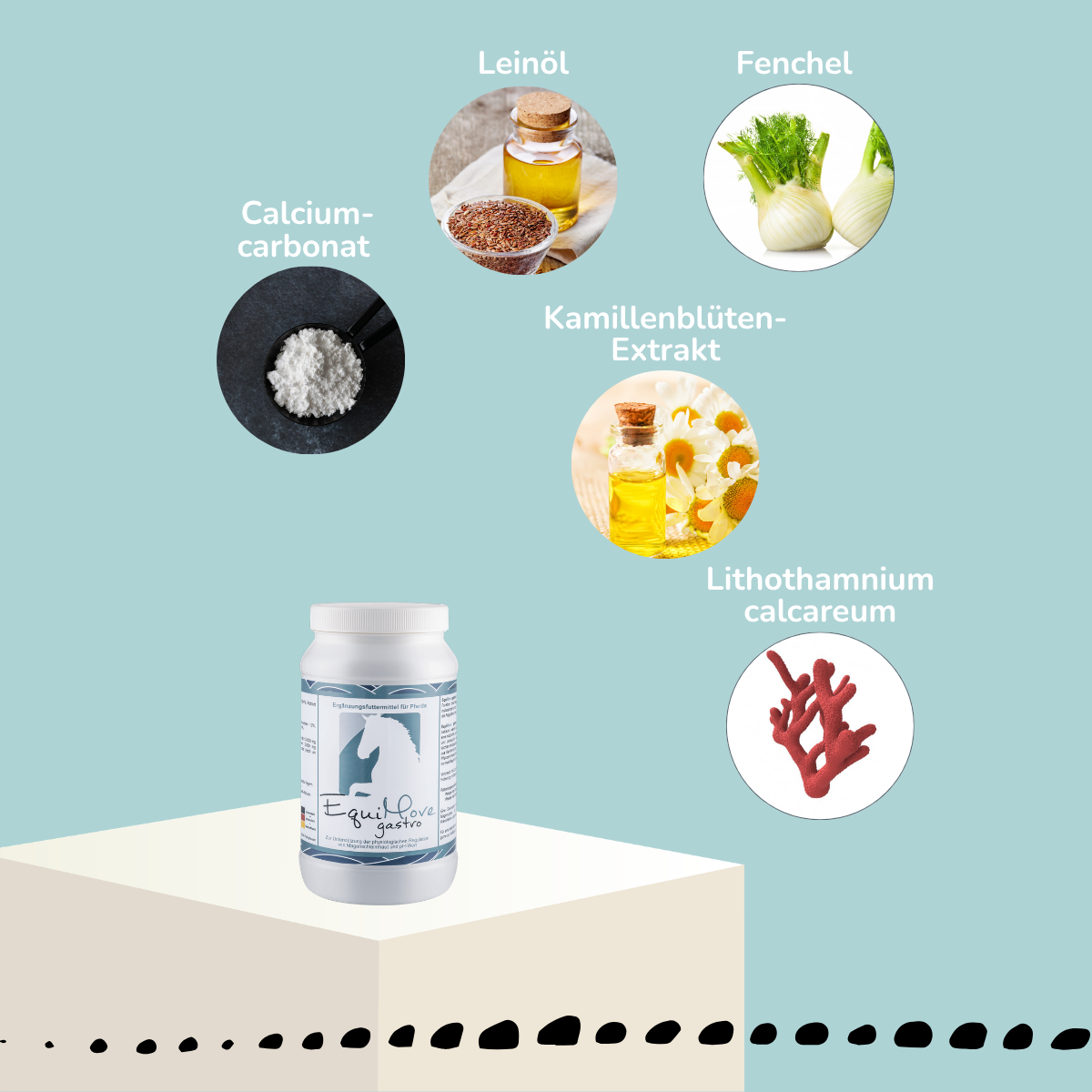 EquiMove gastro