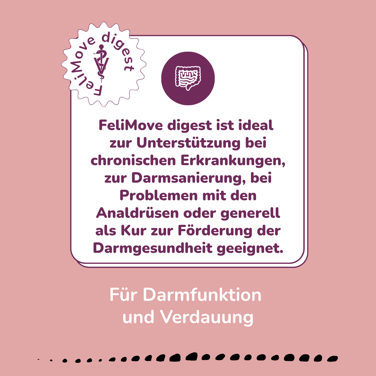 FeliMove digest