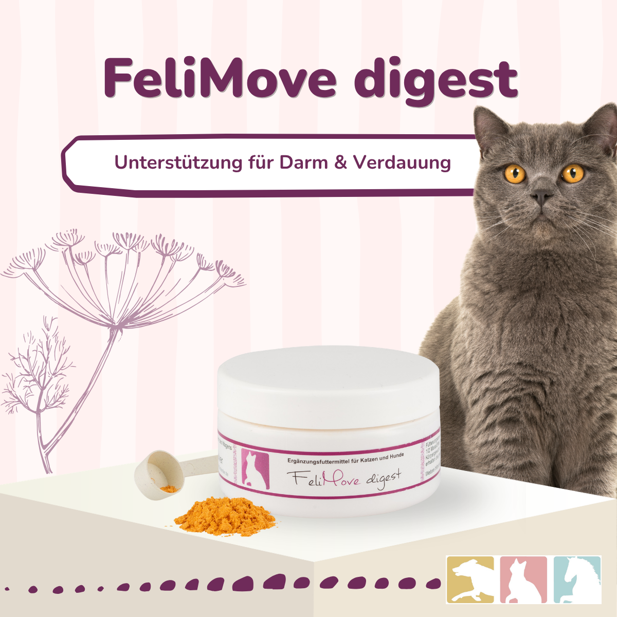 FeliMove digest