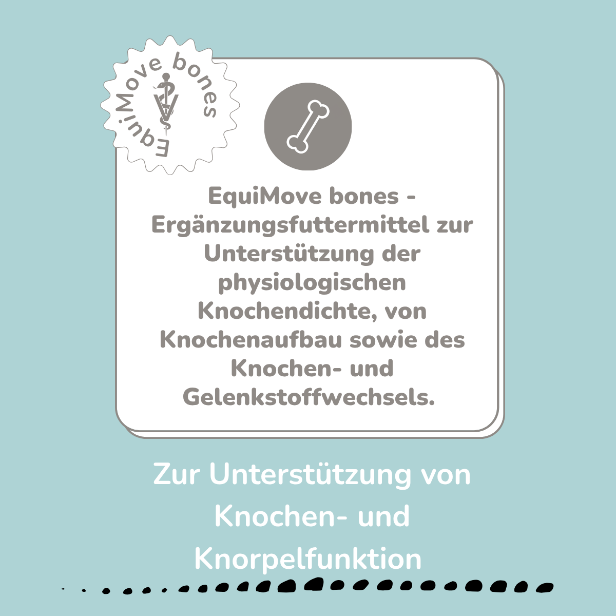 EquiMove bones
