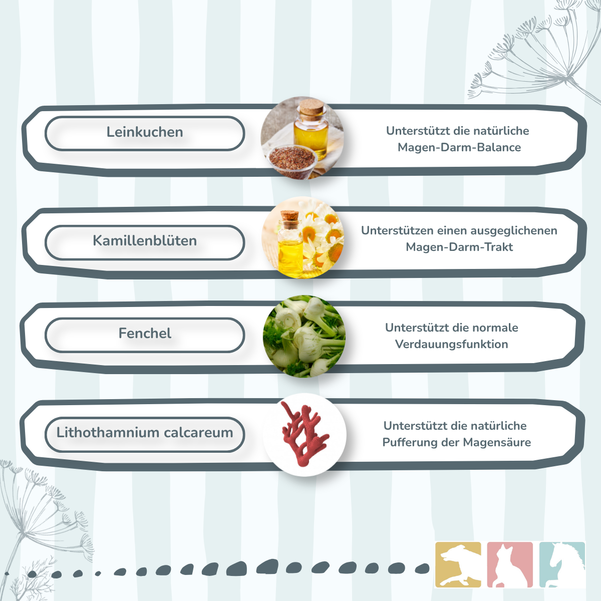 EquiMove gastro