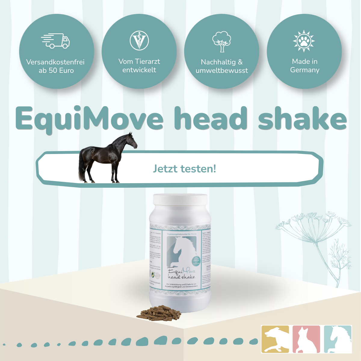 EquiMove head shake