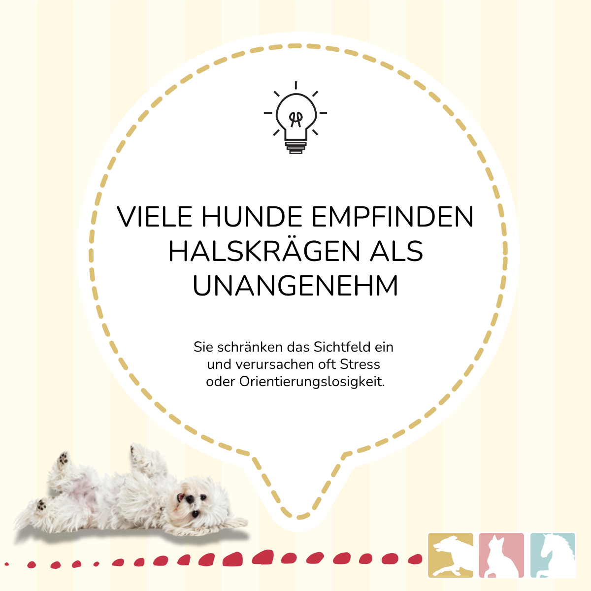 Wundschutz Anzug