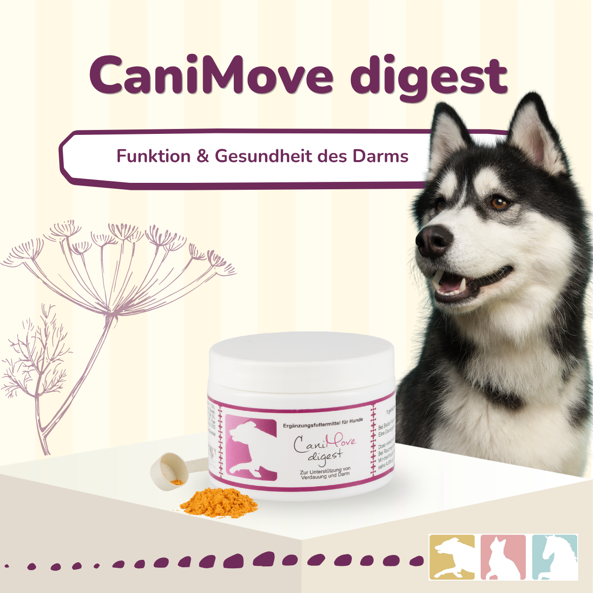 CaniMove digest