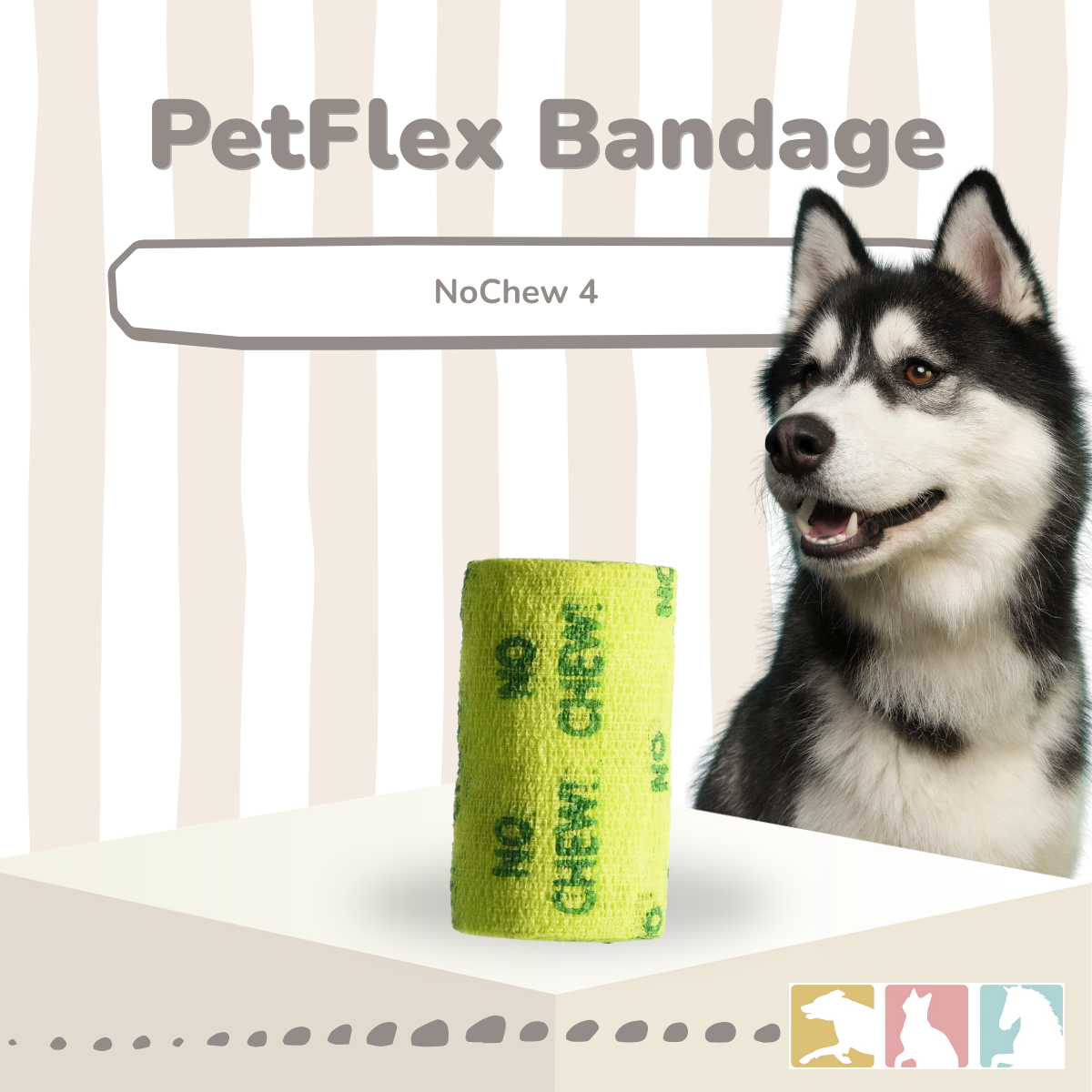 PetFlex NoChew 4"