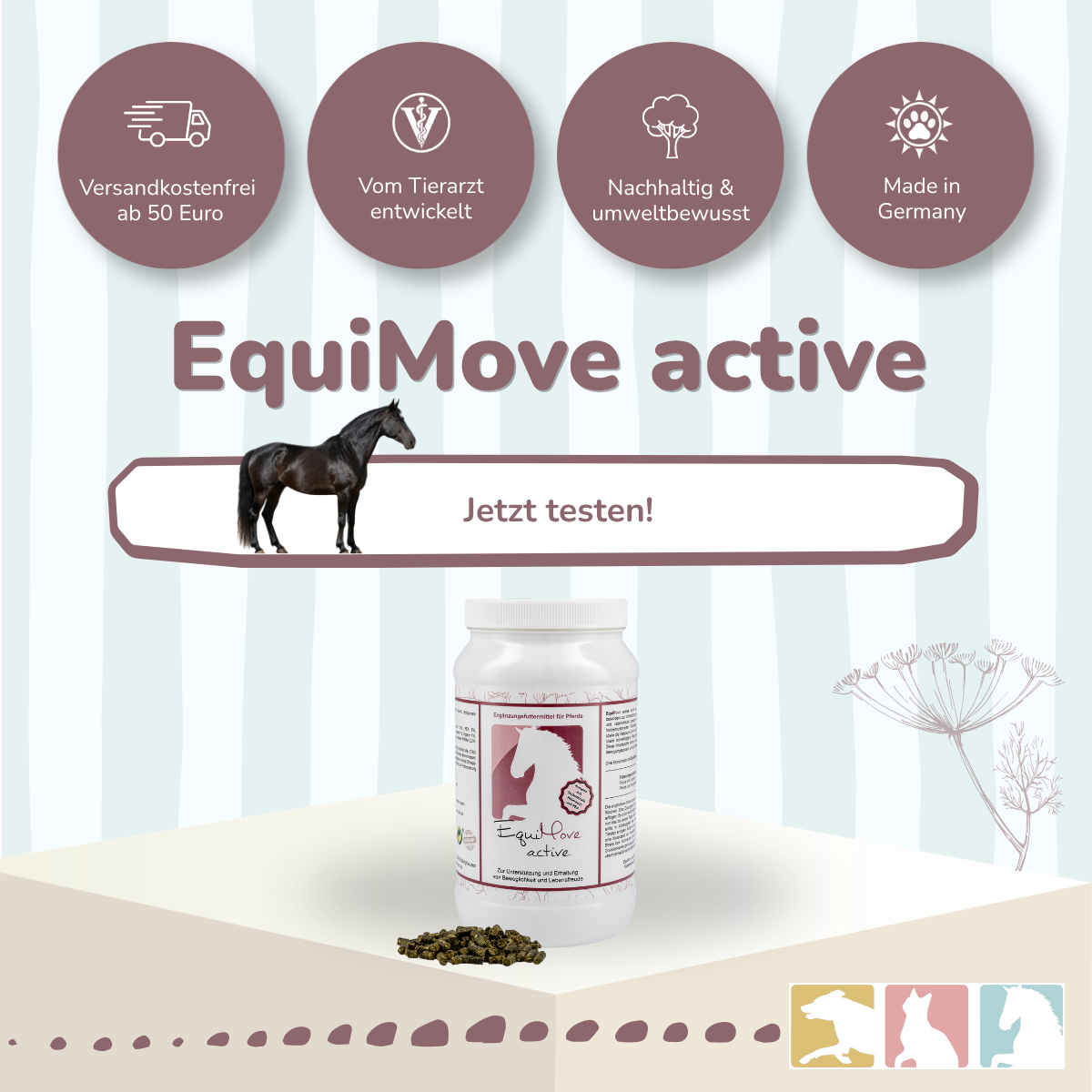 EquiMove active