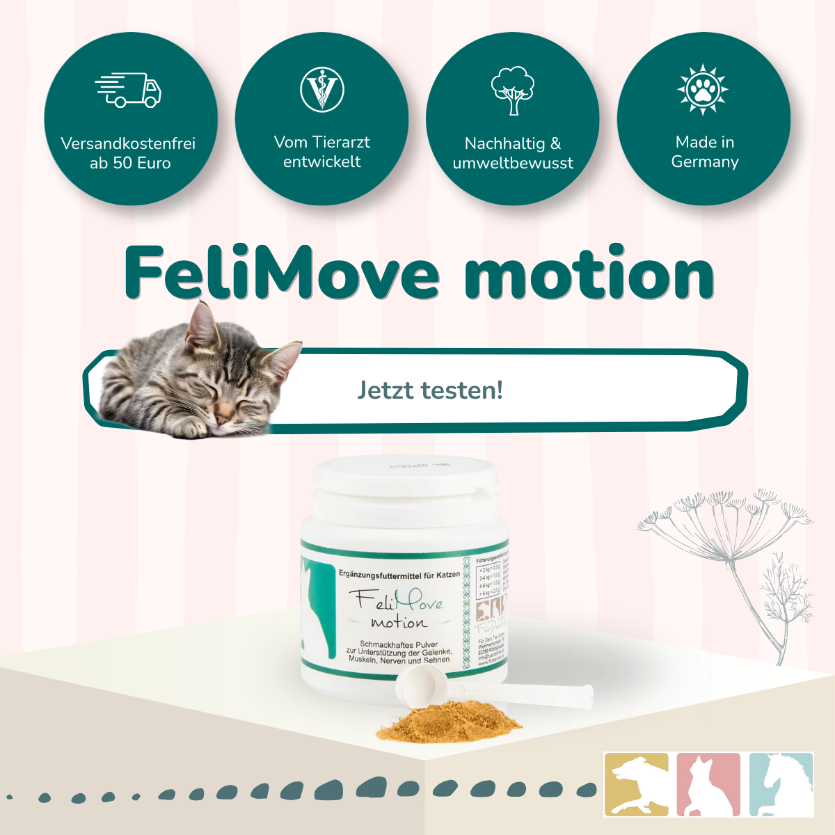 FeliMove motion