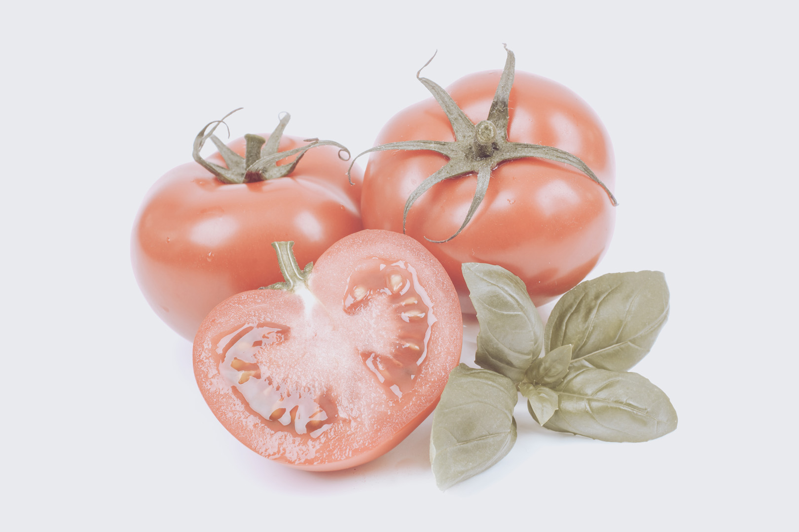 Tomaten-Extrakt