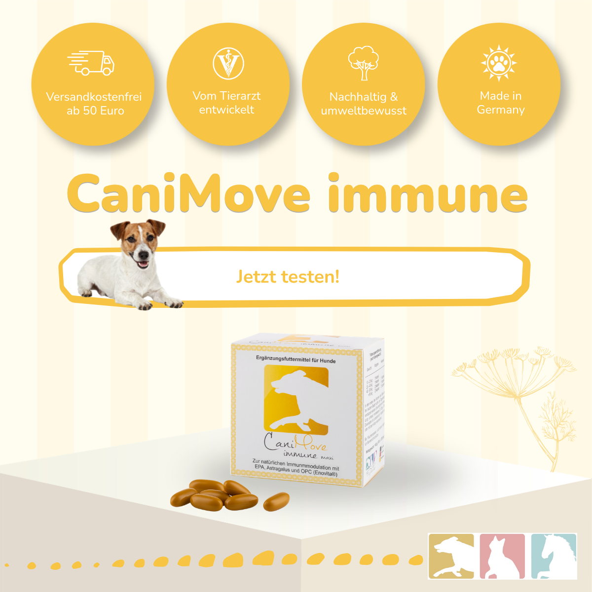 CaniMove immune
