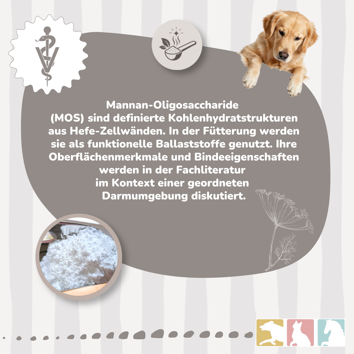 BIO-MOS®