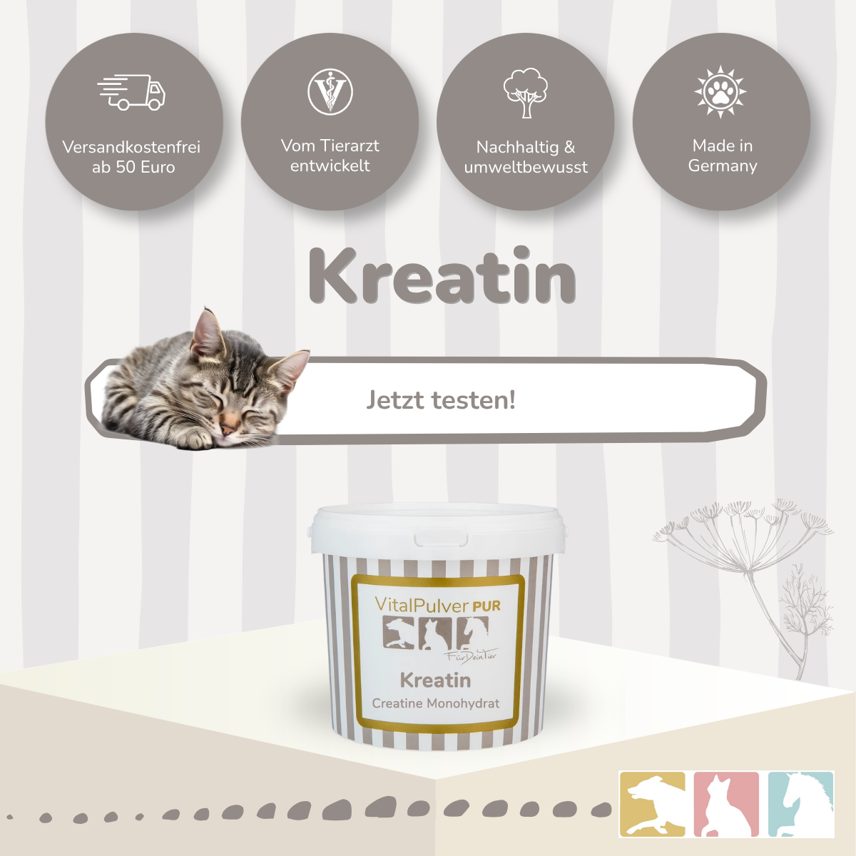 Kreatin