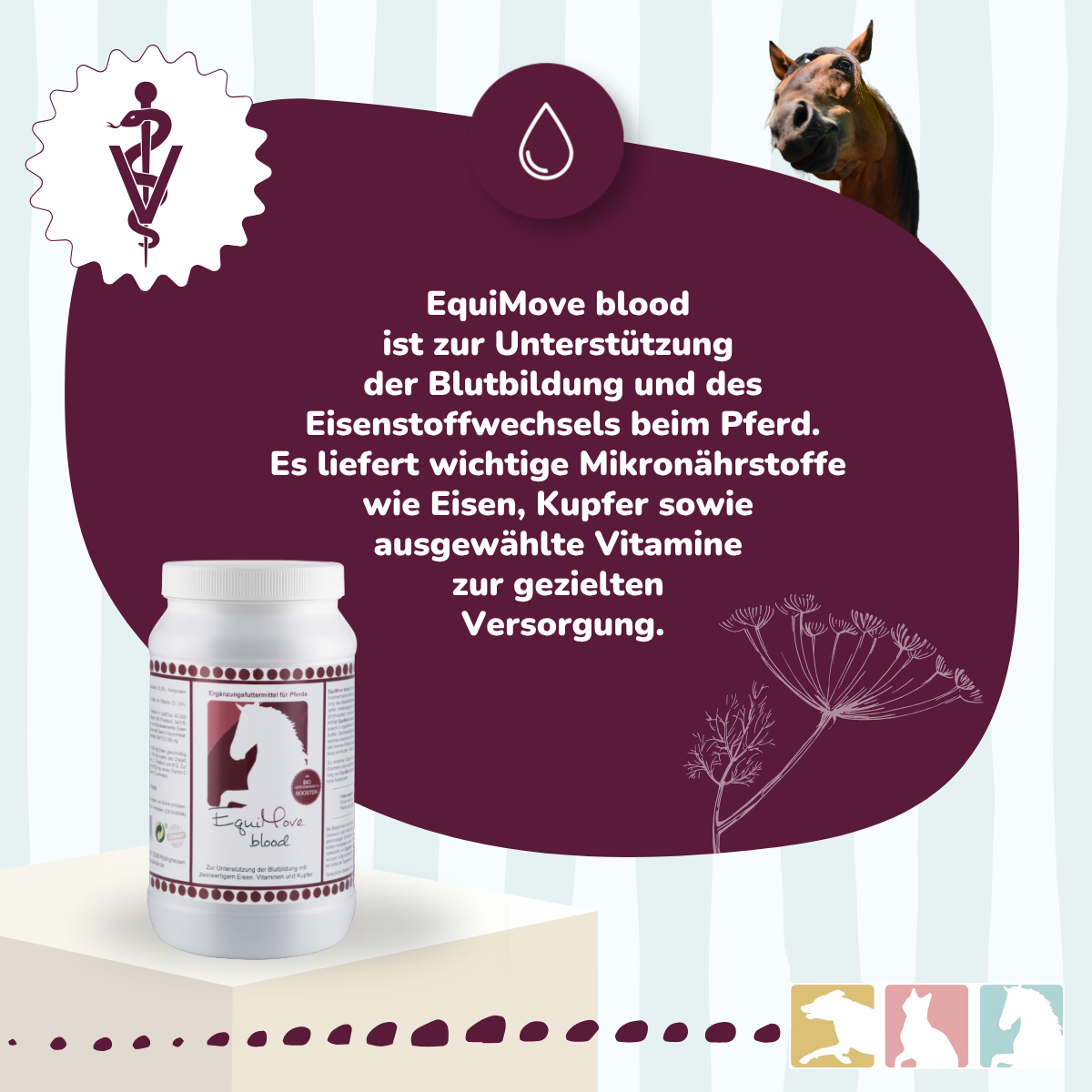 EquiMove blood
