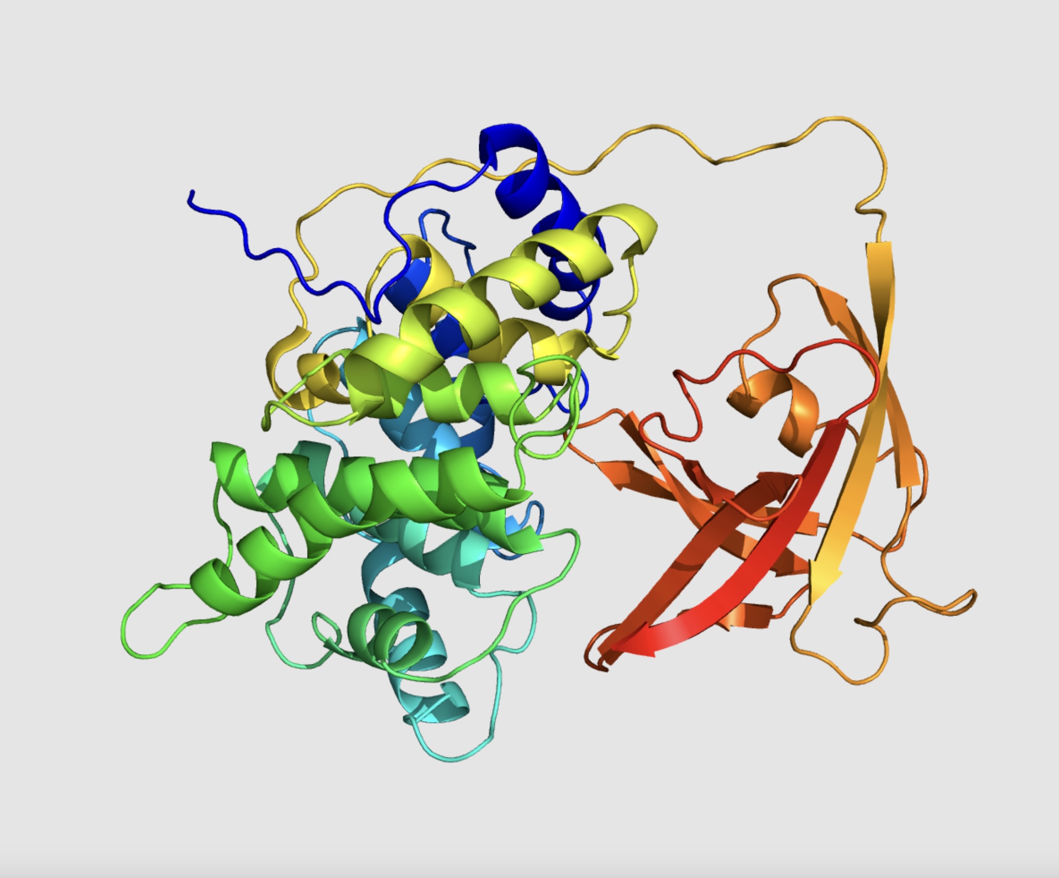 Intrinsic Factor