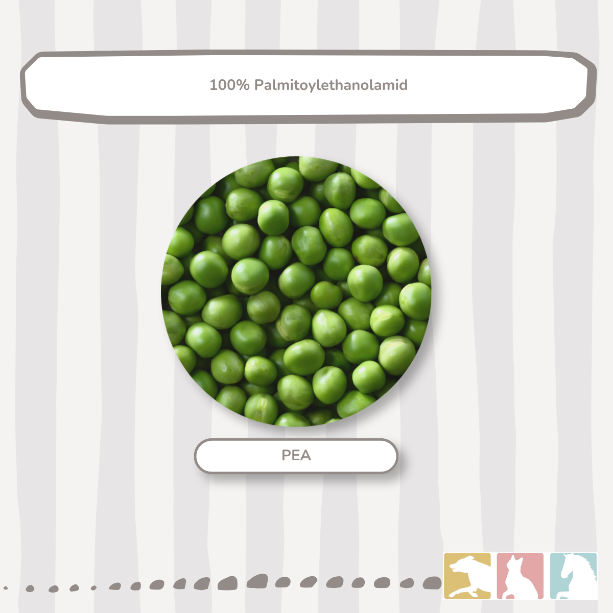 PEA (ultramikronisiert)
