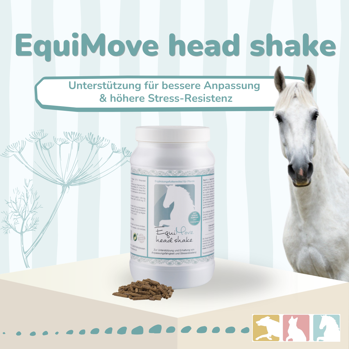 EquiMove head shake