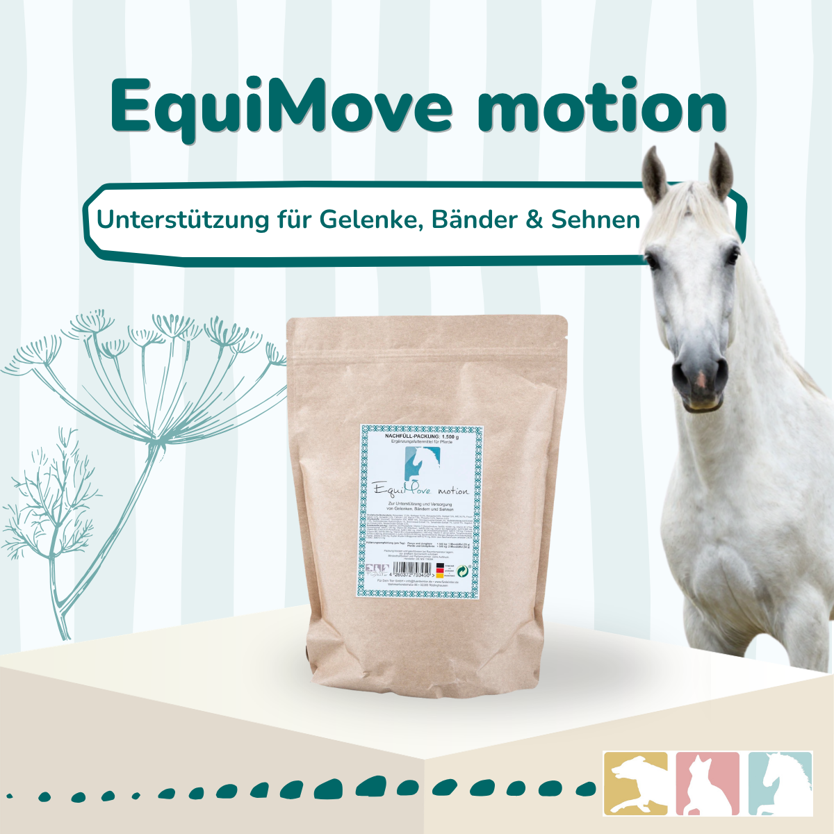 EquiMove motion