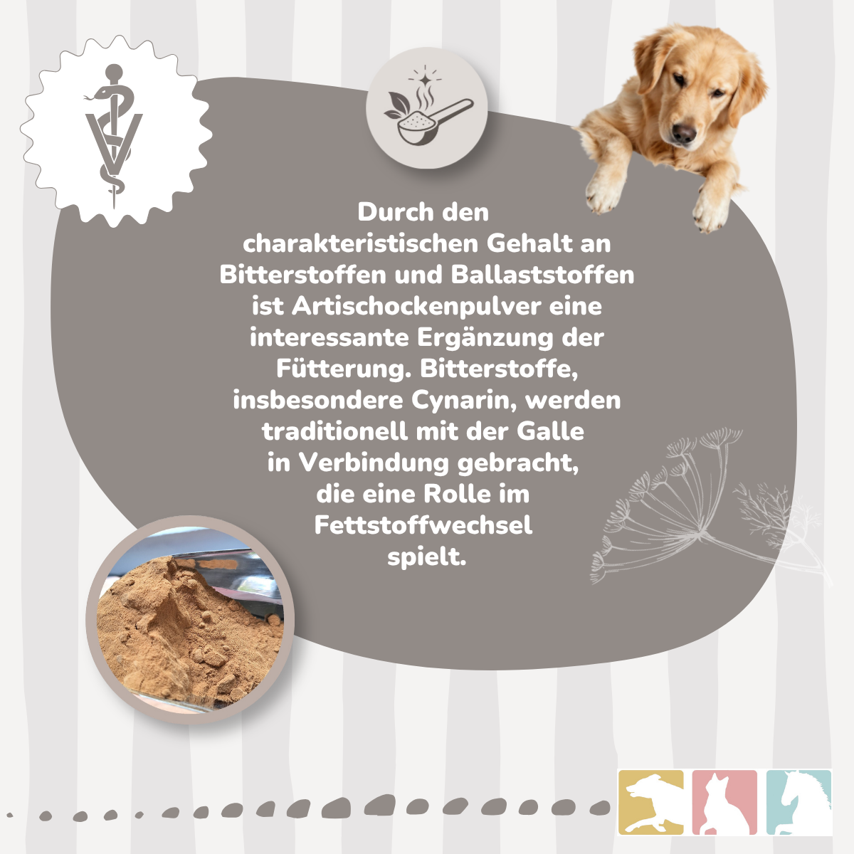 Artischocke (konz.)