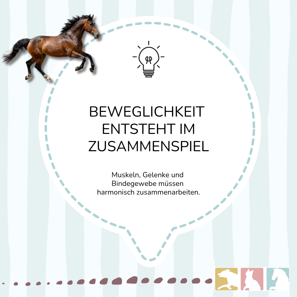 EquiMove active