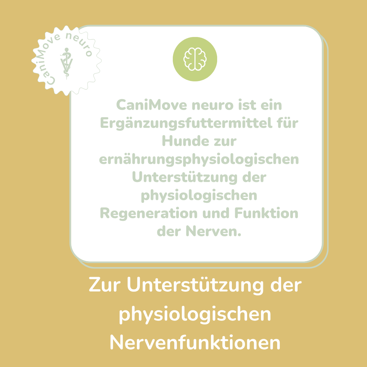 CaniMove neuro