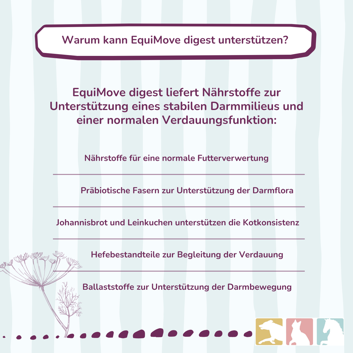 EquiMove digest