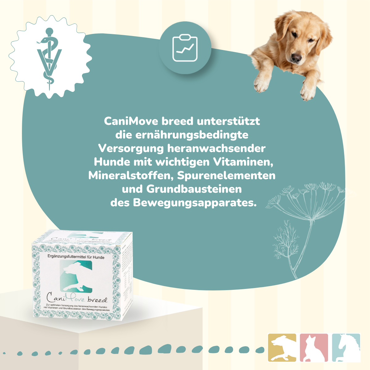 CaniMove breed