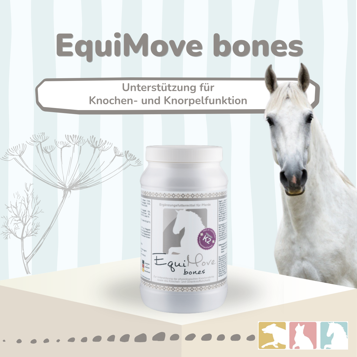 EquiMove bones