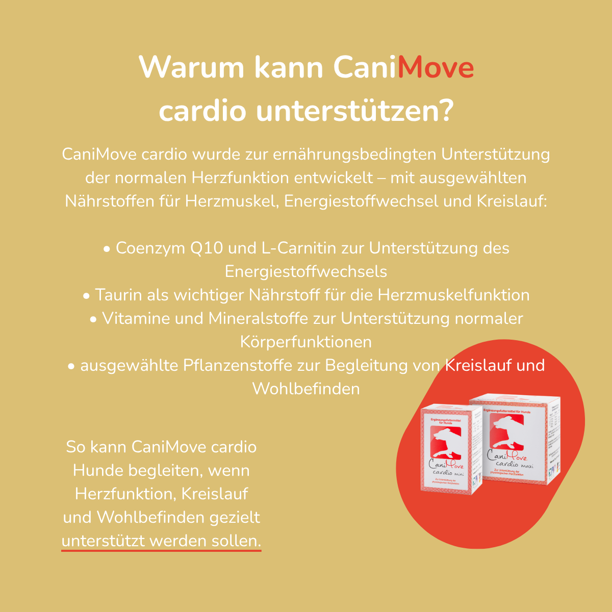 CaniMove cardio