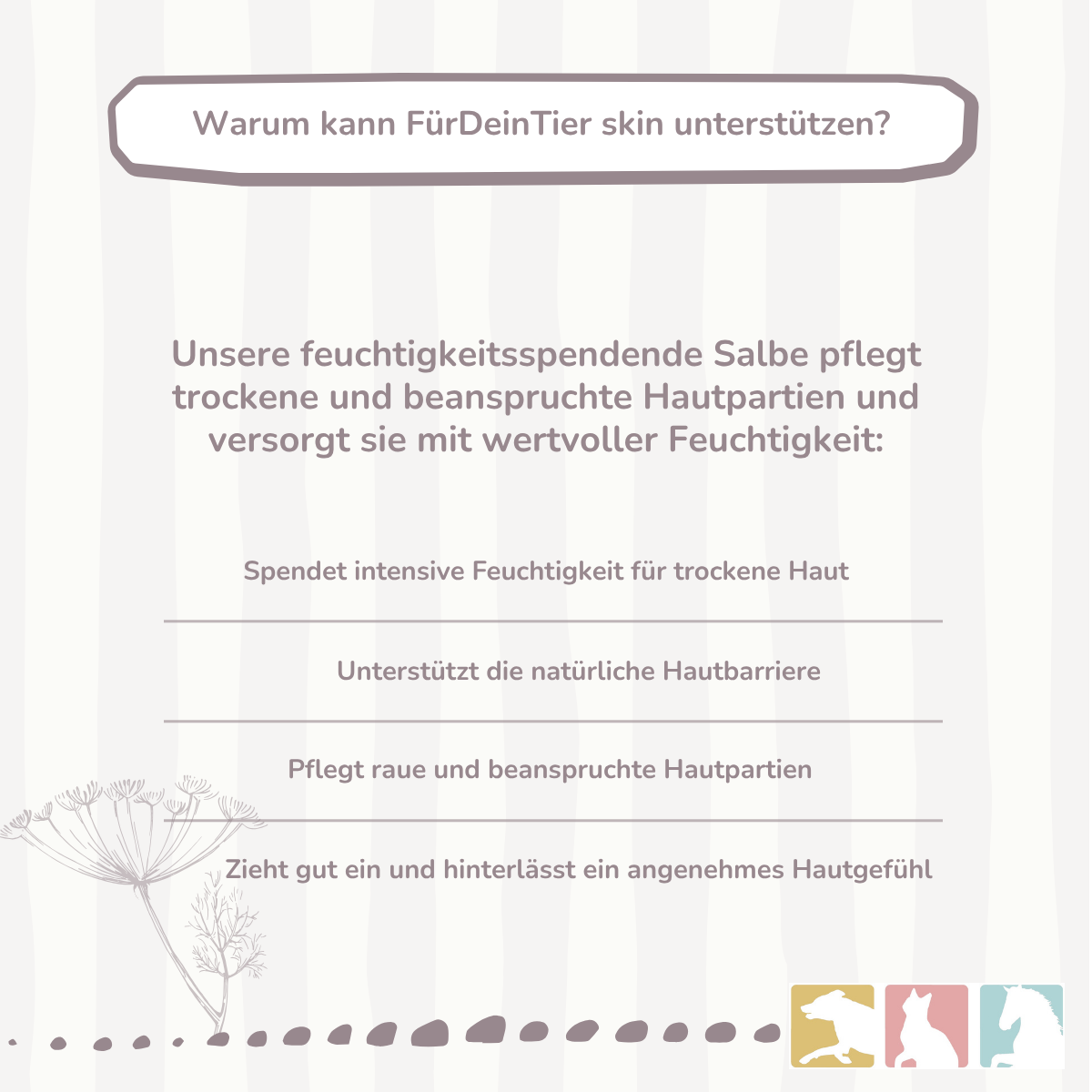 Wundschutz Salbe (feuchthaltend)