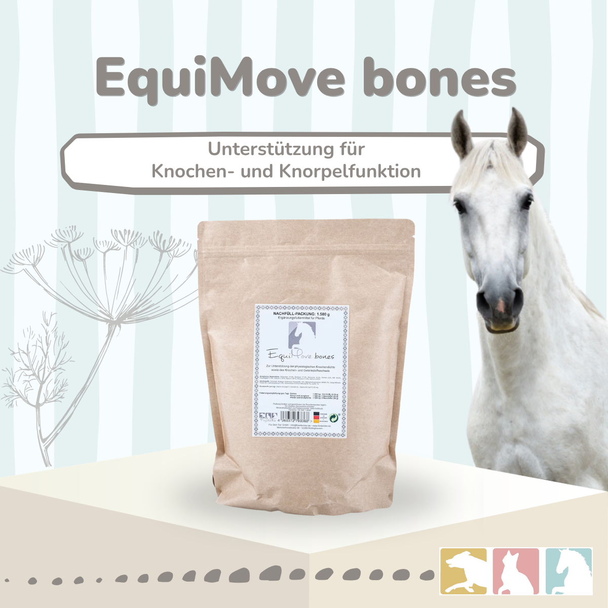 EquiMove bones