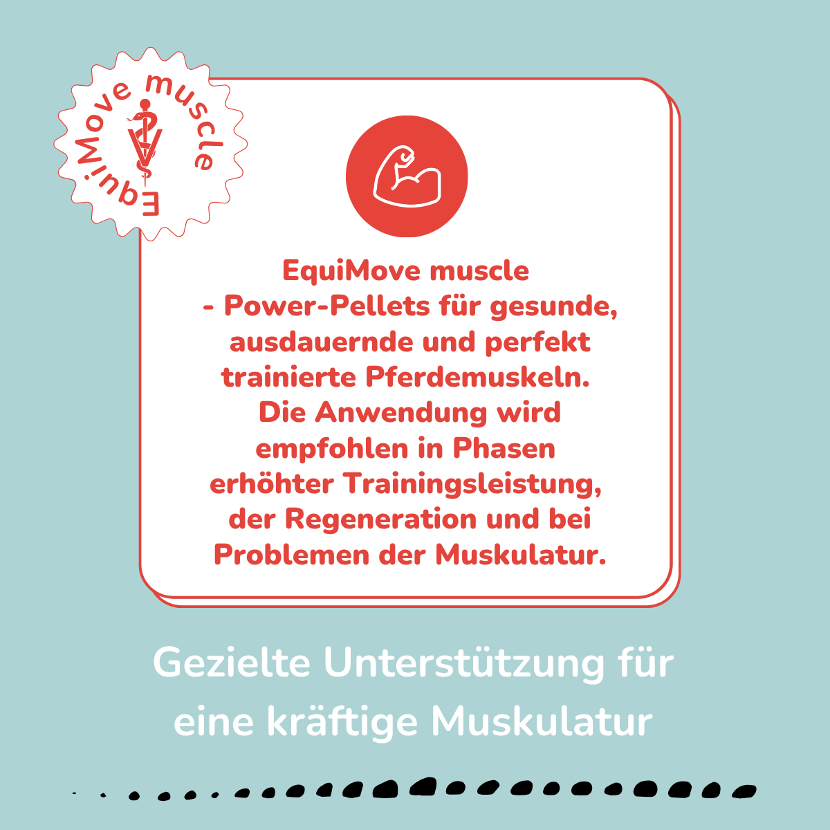 EquiMove muscle