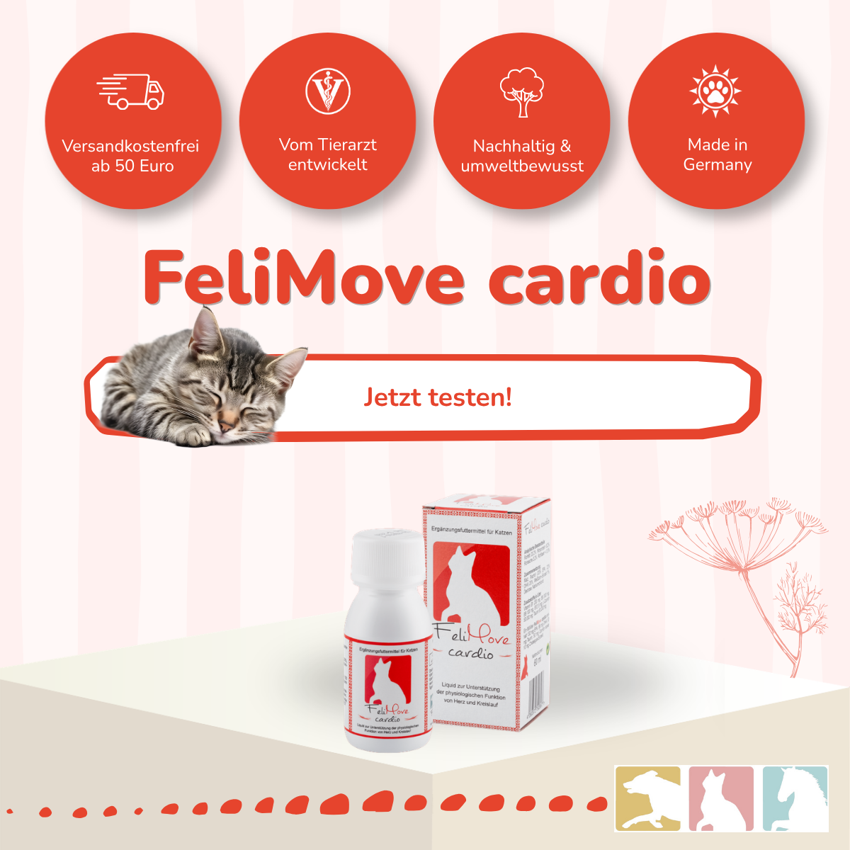 FeliMove cardio