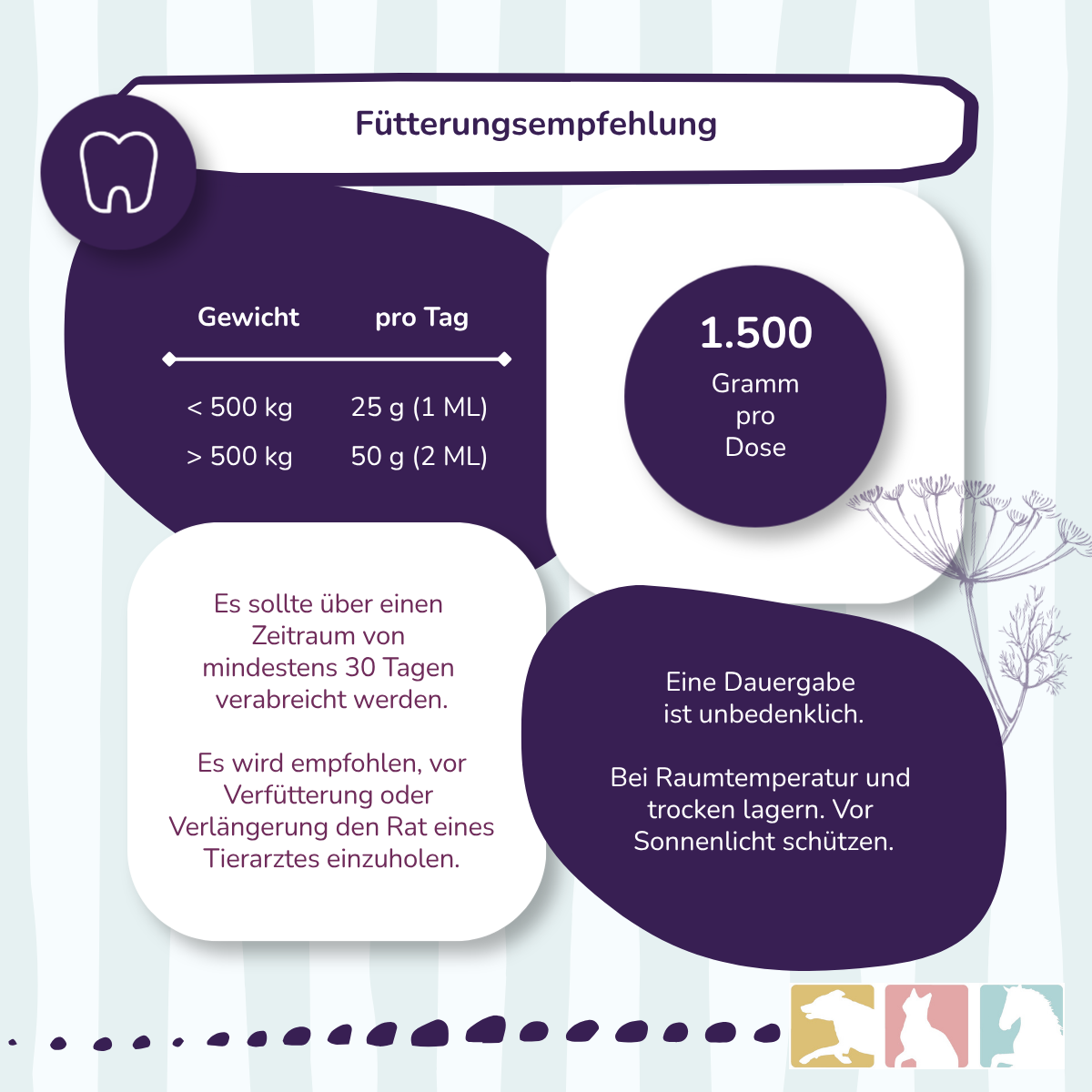 EquiMove dental