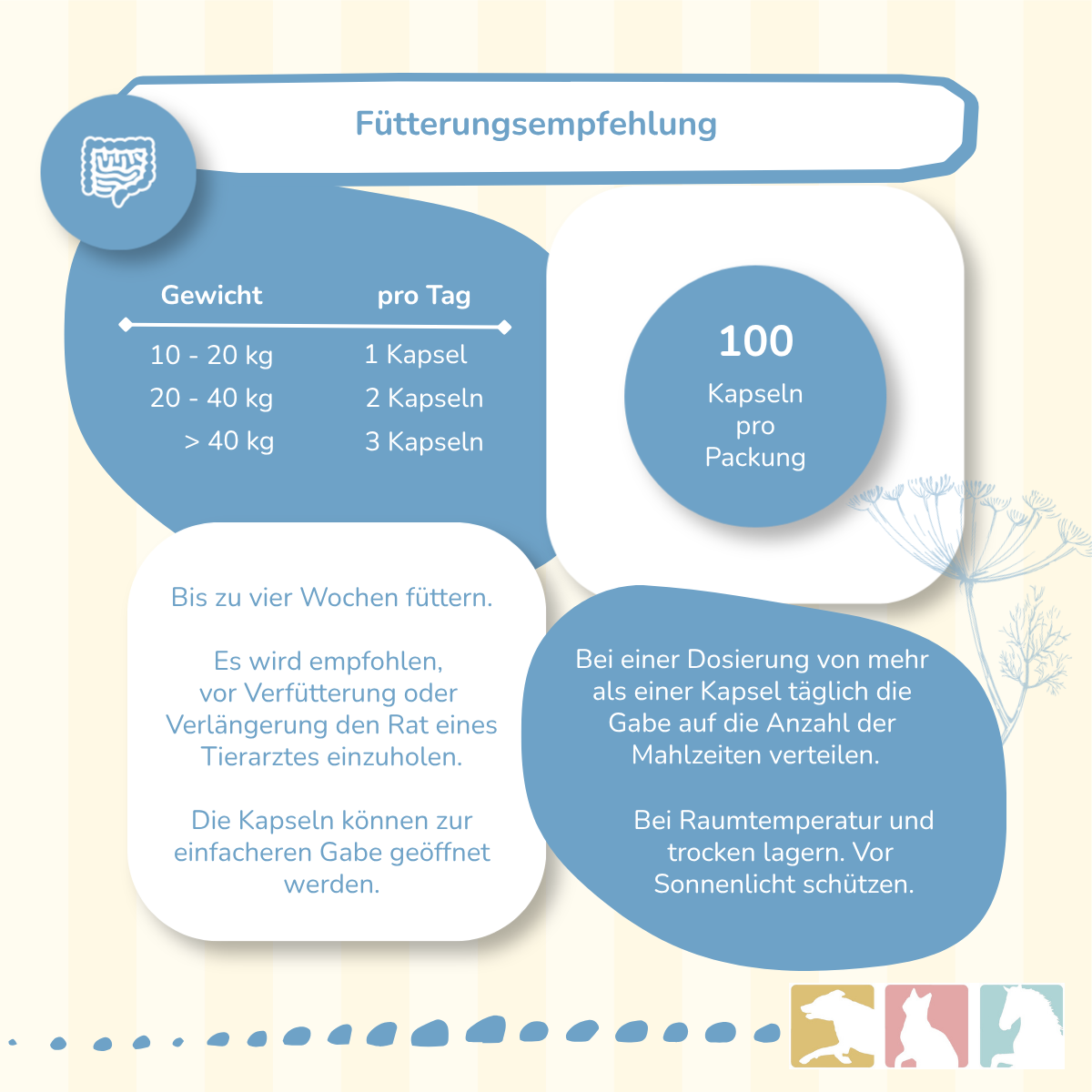 CaniMove probiotic