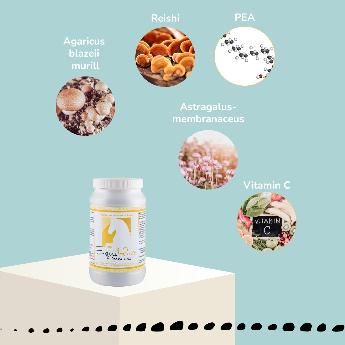 EquiMove immune