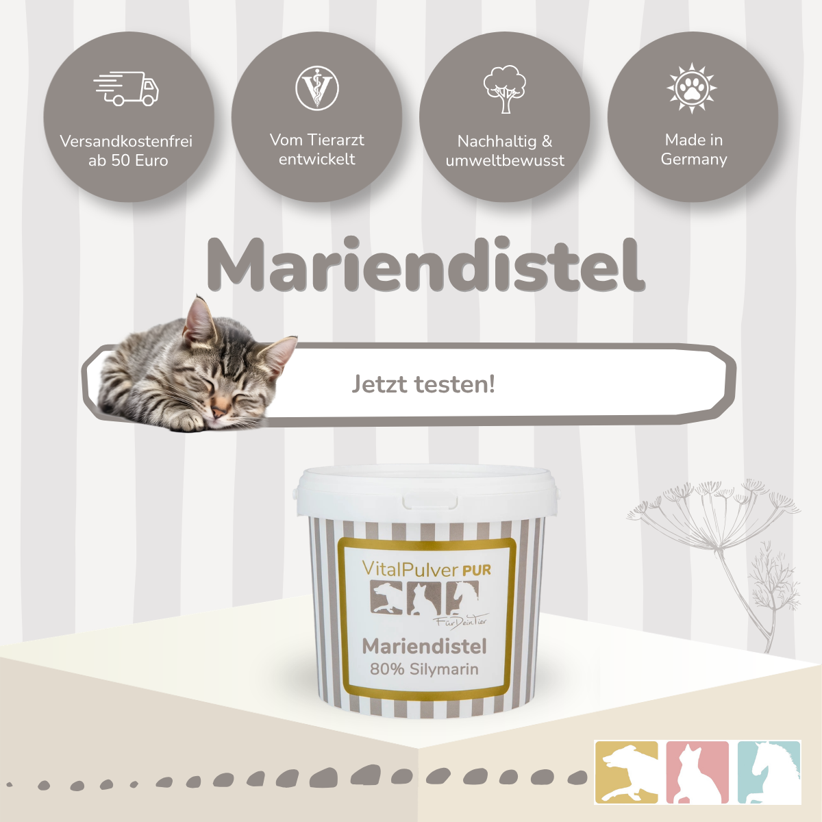Mariendistel