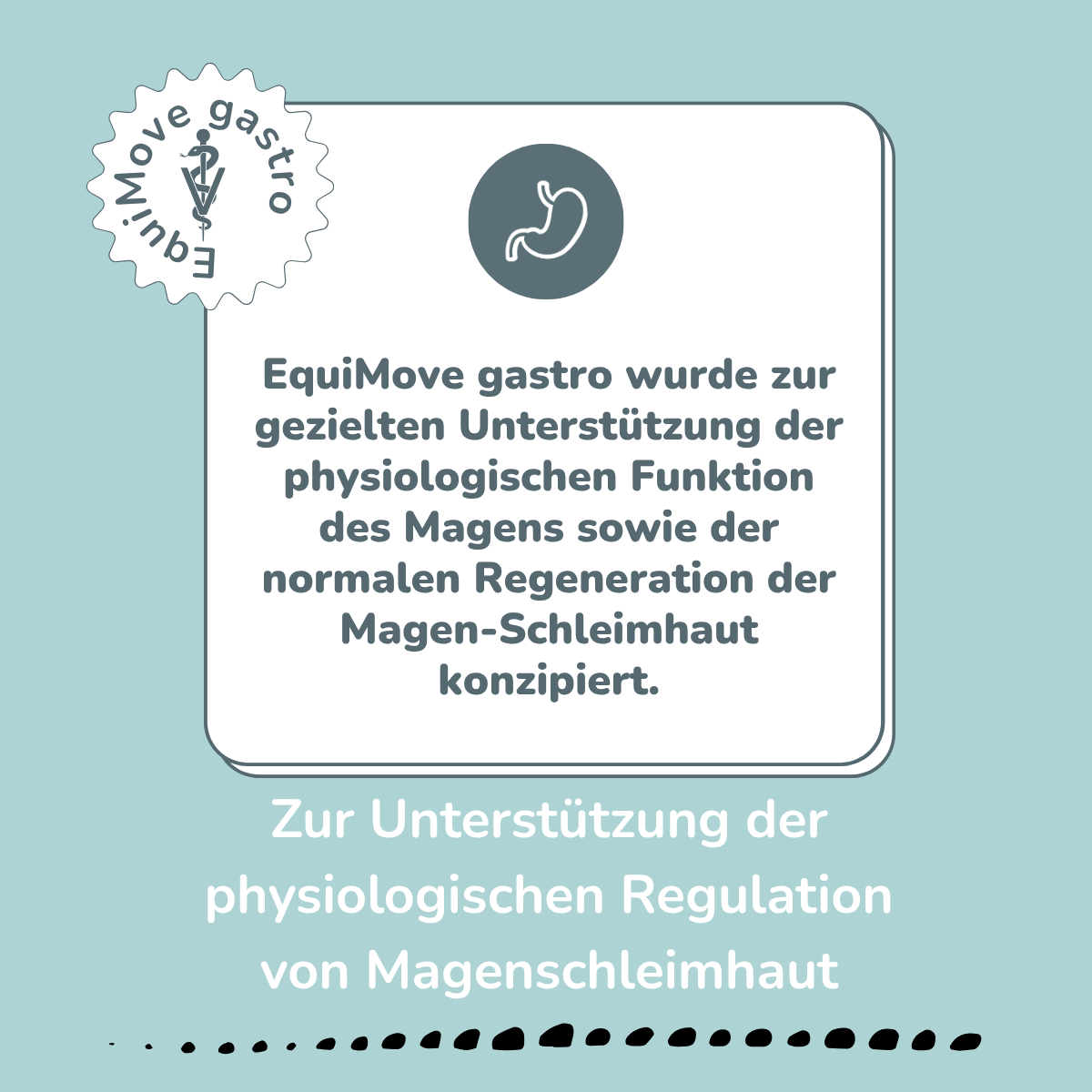 EquiMove gastro