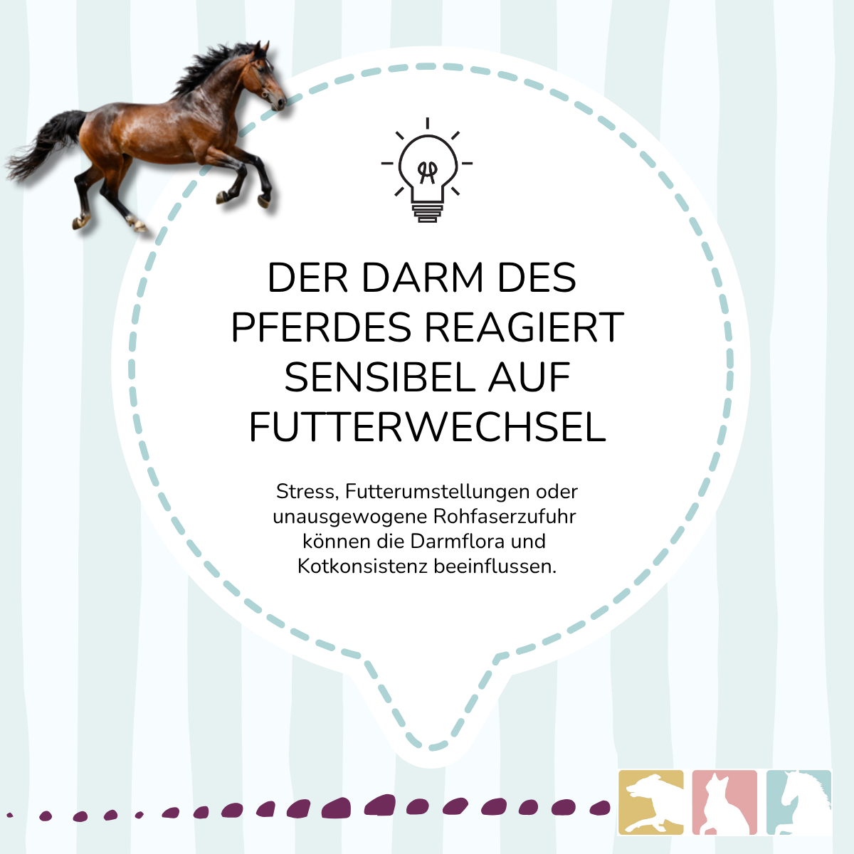EquiMove digest